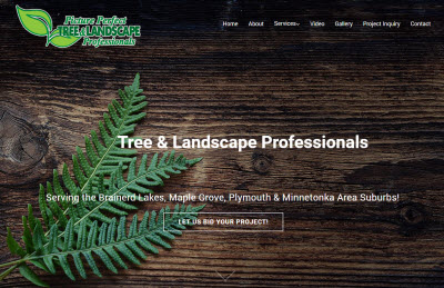 Brainerd Tree Service Removal